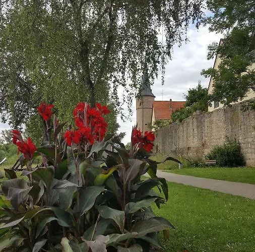 Direkt Am Main Karlstadt